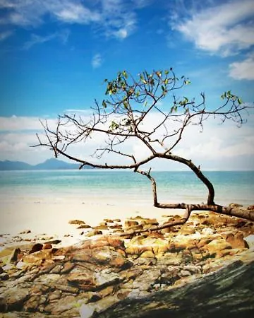 Residenza Al Sogno - On Garda Cavaion Veronese