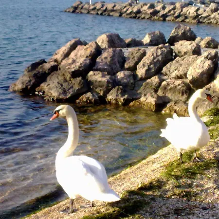 Lägenhet Residenza Al Sogno - On Garda *